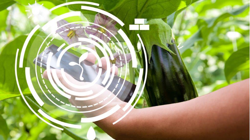 AGRICO master their data to maximize their cultivation and boost profitable sustainability